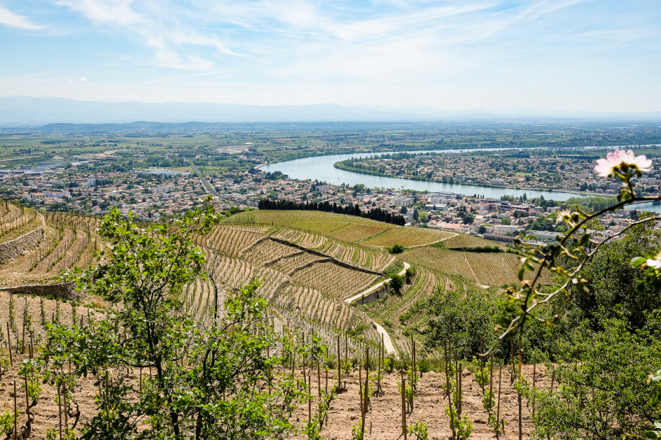 Autour du Rhône