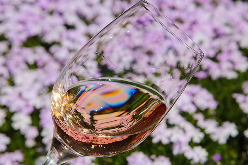Rosa, pink und lachs — Rosé-Weine seziert und transferiert