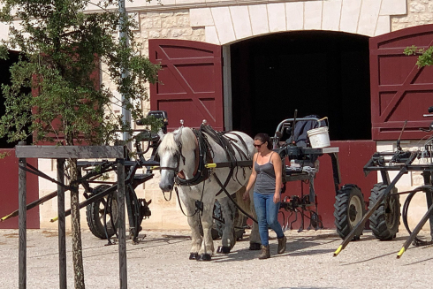 Bordeaux Subskription 2019 zum Zweiten