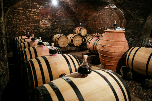 Wein und Zeit