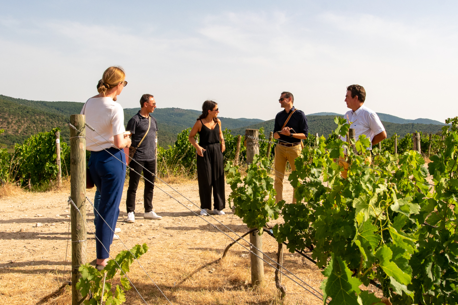 Giro d’Italia in Sachen Wein