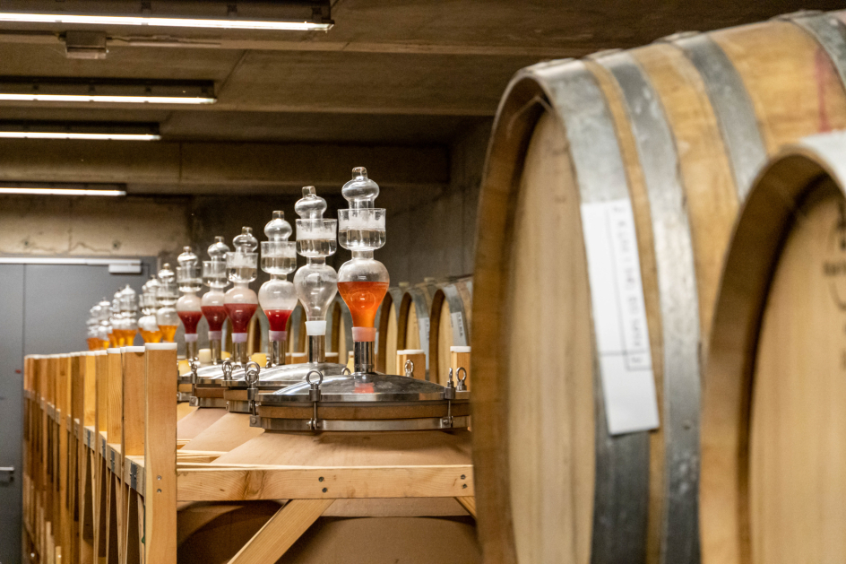 Zeit für Wein 