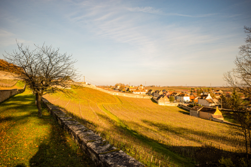 Good News von der Côte d’Or oder: Vive la Bourgogne, vive 2019!