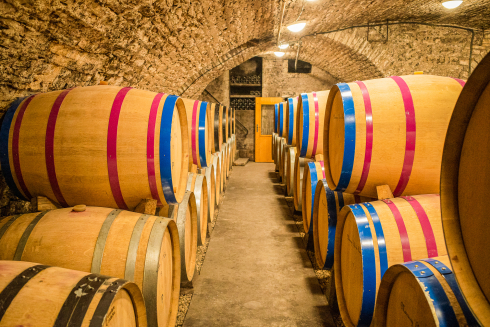 Burgund. Der Jahrgang 2019.