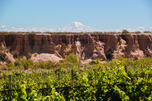 Winzerbesuche – Argentinien 2013