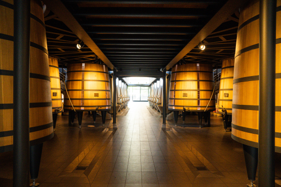 Die Martel Bordeaux-Welt Martel Weinwelt - Die Martel Bordeaux-Welt