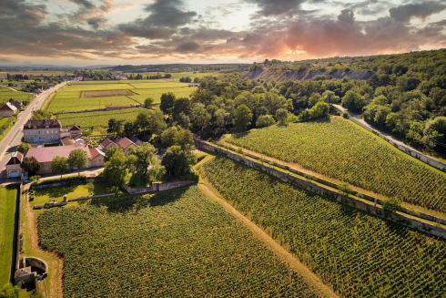 Eine Weinreise ins Burgund