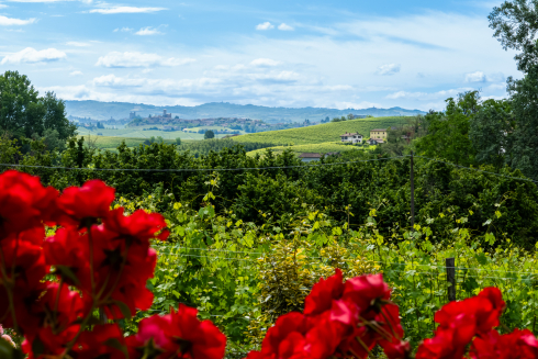 Oddero: reizvolle Piemonteser Weinhochkultur mit feiner Klinge