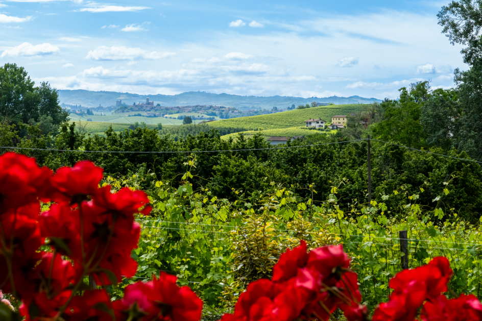 Oddero: reizvolle Piemonteser Weinhochkultur mit feiner Klinge
