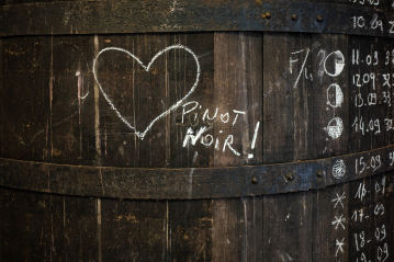 Martel Weinwelt - Die Martel Burgund-Welt