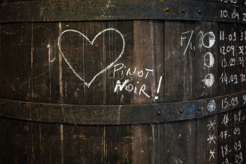 Die Liebe zum Wein teilen