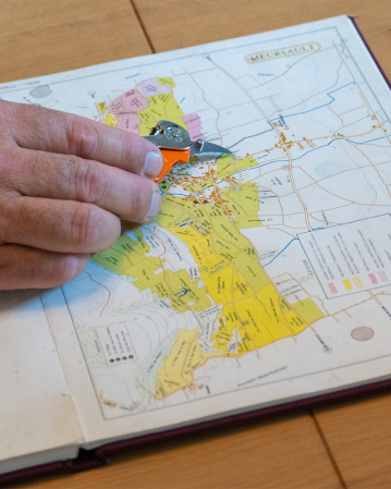 Wir sind auf den Klimawandel vorbereitet