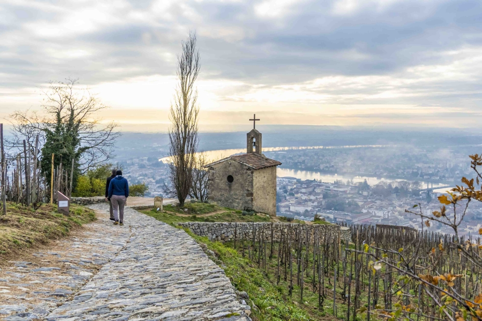 Neuer Blick auf Rhône-Weine