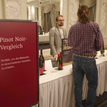 Martel Tour des Vins