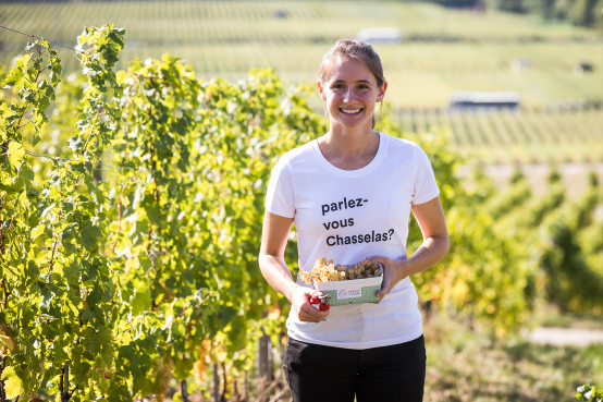 Martel Weinwelt - Weinkultur heisst: Besser geniessen.