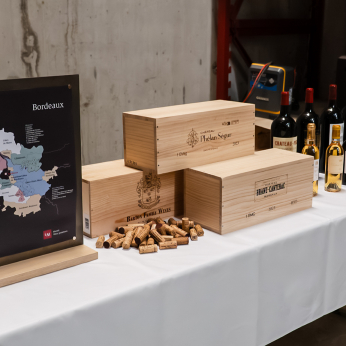 Martel Weinwelt - Bordeaux-Degustation