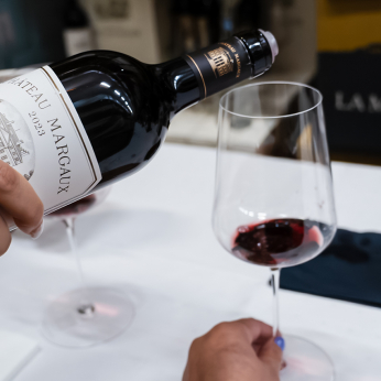 Martel Weinwelt - Bordeaux-Degustation