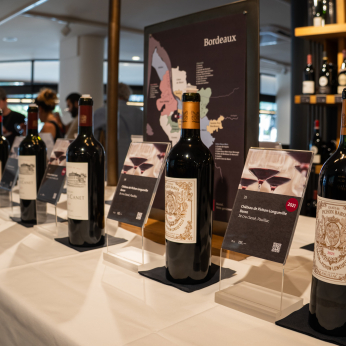 Martel Weinwelt - Bordeaux-Degustation