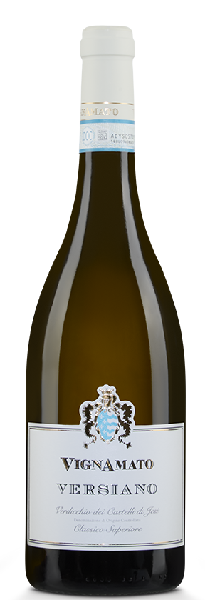 Verdicchio dei Castelli di Jesi Versiano 2023 Vignamato