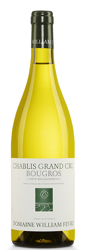 Chablis Côte Bouguerots 2019 William Fèvre