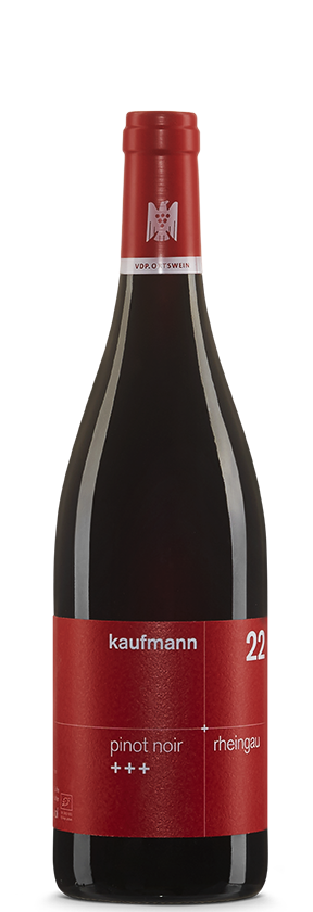 Hallgarten Pinot Noir +++ 2021 Kaufmann