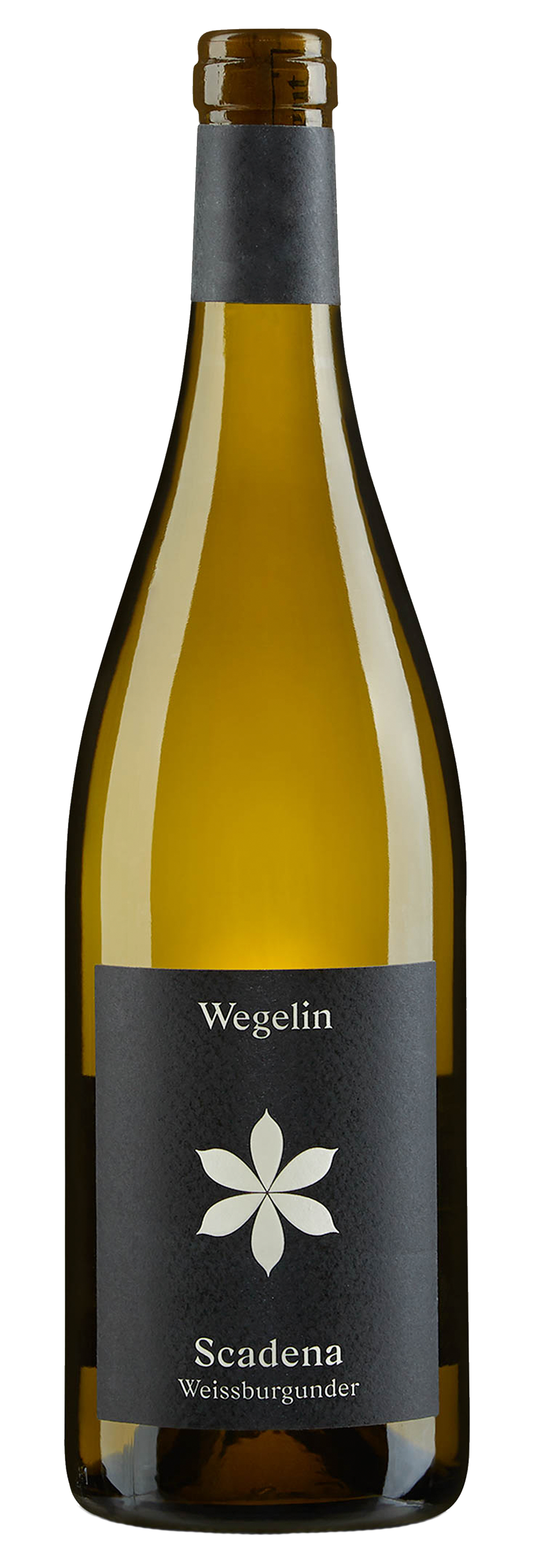 Malanser Weissburgunder Scadena 2024 Wegelin