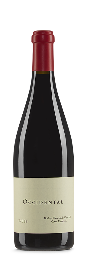 Bodega Headlands Vineyard 2021 Occidental