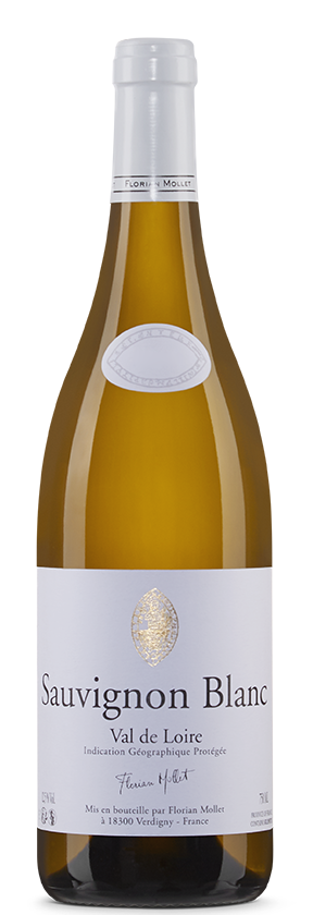 Sauvignon Blanc 2025 Roc de l'Abbaye, Florian Mollet