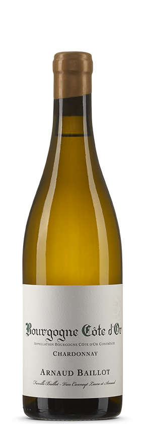 Bourgogne blanc 2024