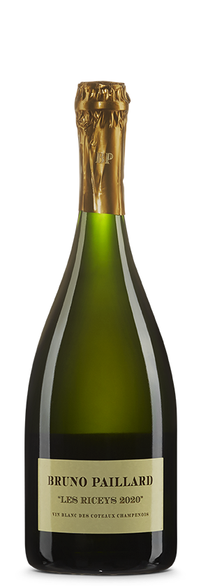 Coteaux Champenois blanc AOC 2020 Paillard