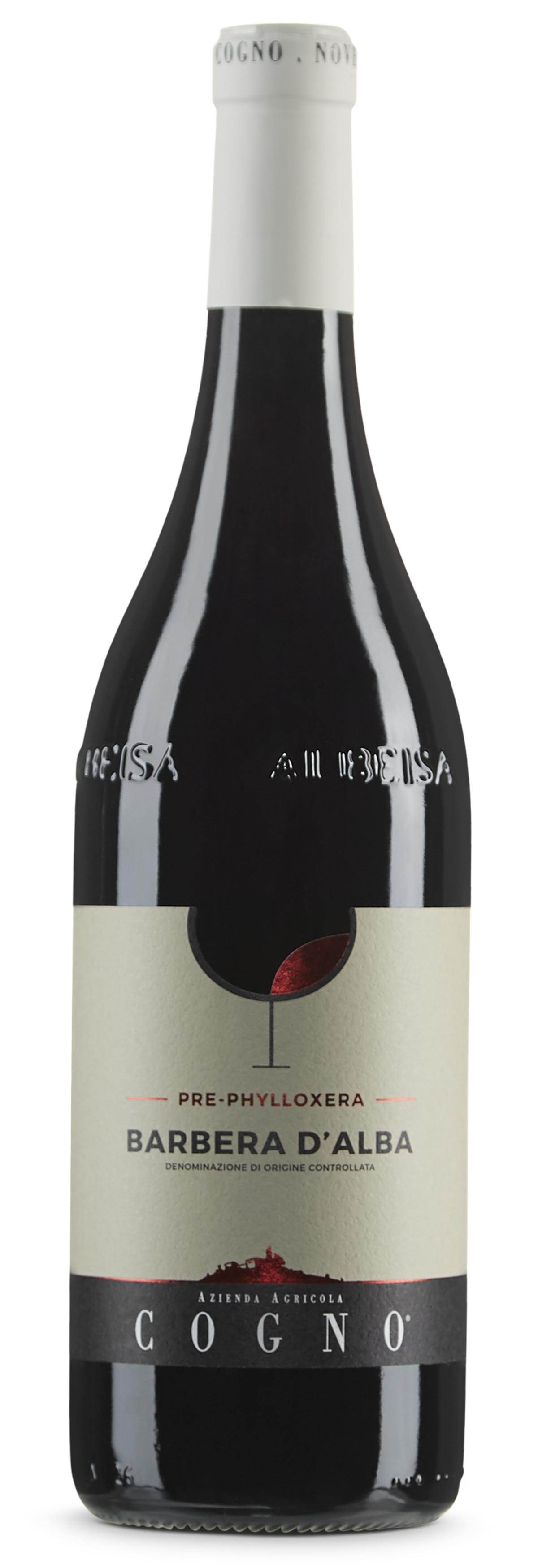 Barbera d'Alba DOC 2023 Azienda Agricola Cogno