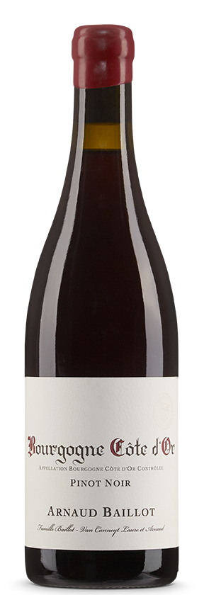 Bourgogne rouge 2024