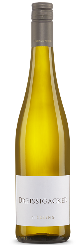 Dreissigacker Riesling 2024 Weingut Dreissigacker