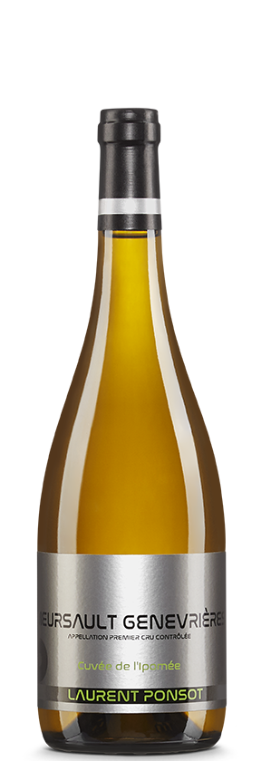 Meursault 2022 Laurent Ponsot