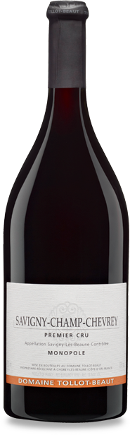 Savigny-les-Beaune 2023 Tollot-Beaut