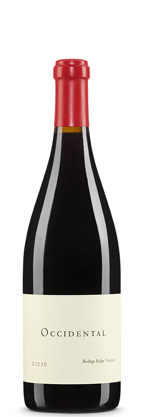 Bodega Ridge Vineyard 2022 Occidental