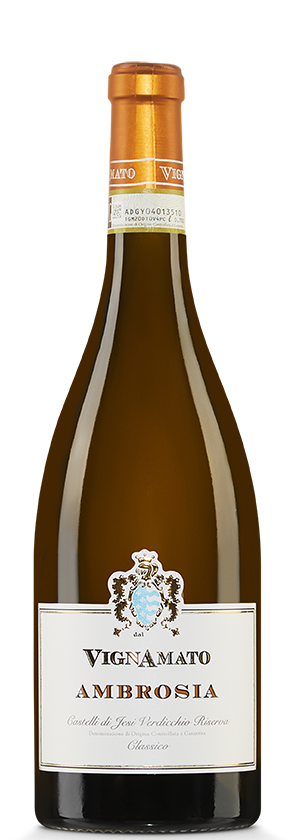 Verdicchio dei Castelli di Jesi Ambrosia 2022 Vignamato