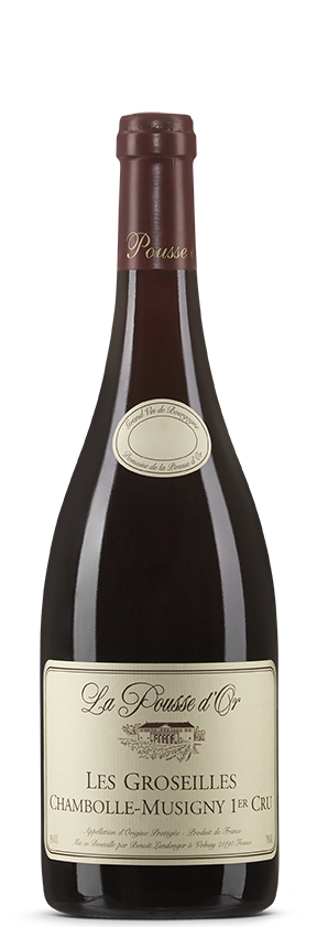 Chambolle-Musigny 2022 Pousse d'Or