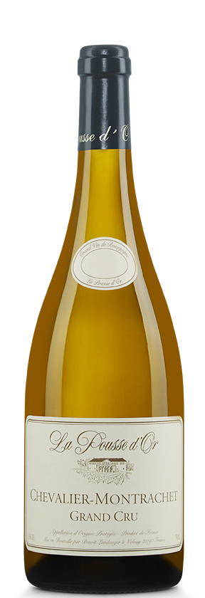 Chevalier-Montrachet Pousse d'Or