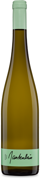 Fläscher Riesling trocken Gantenbein
