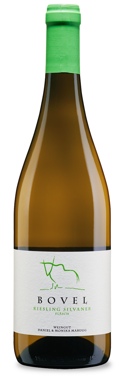 Fläscher Riesling-Sylvaner, Bovel 2024 Weingut Daniel & Monika Marugg