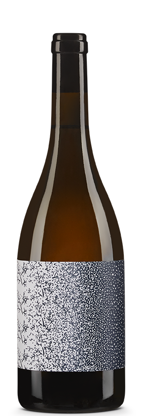 Chasselas 2023 Helvetica Fermenti SA