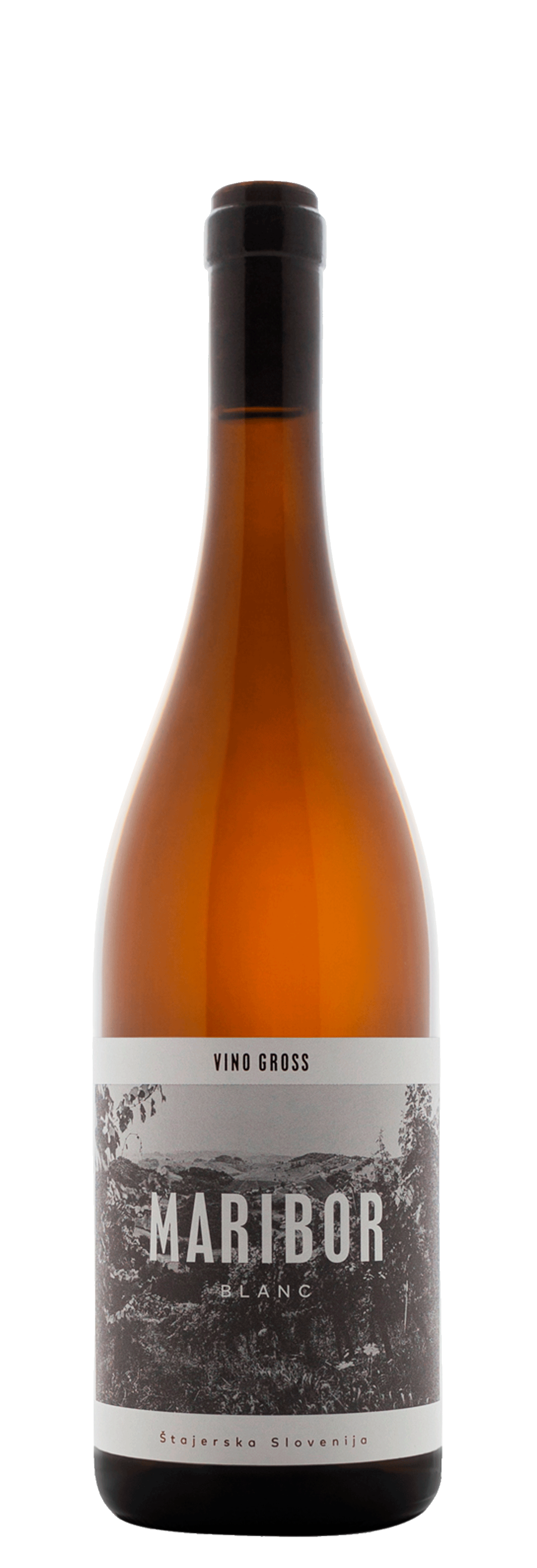 Maribor Blanc 2023 Vino Gross