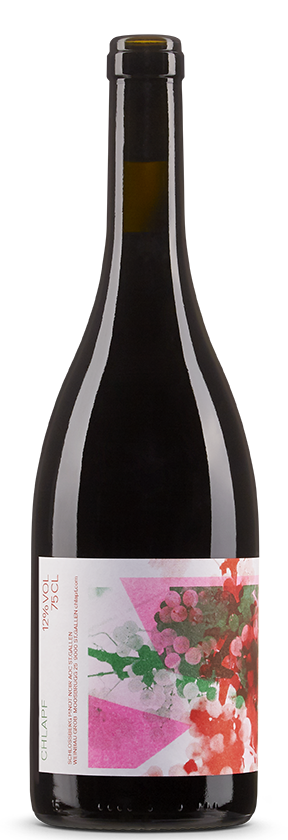 Pinot Noir Schlossberg Chlapf 2022 Weinbau Grob