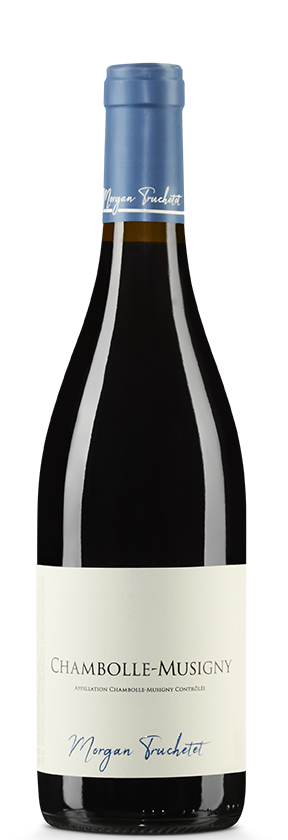Chambolle-Musigny 2022 Truchetet