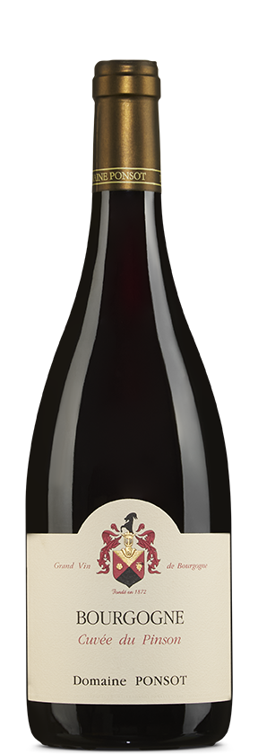 Bourgogne Rouge 2023