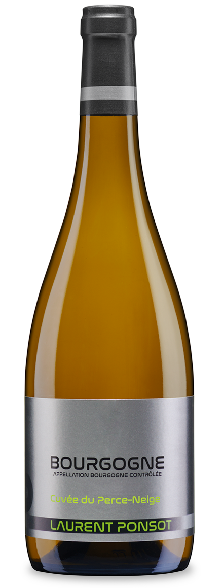 Bourgogne Blanc 2023