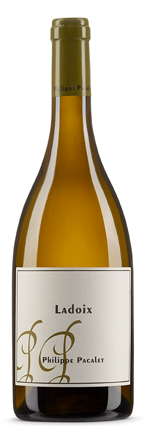 Ladoix blanc 2021 Philippe Pacalet