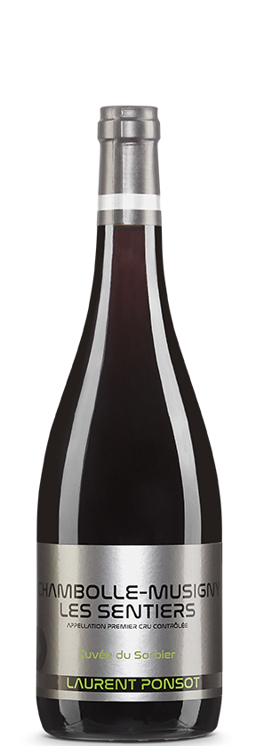 Chambolle-Musigny 2022 Laurent Ponsot