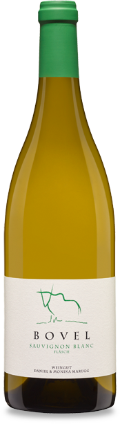 Fläscher Sauvignon Blanc, Bovel 2024 Weingut Daniel & Monika Marugg